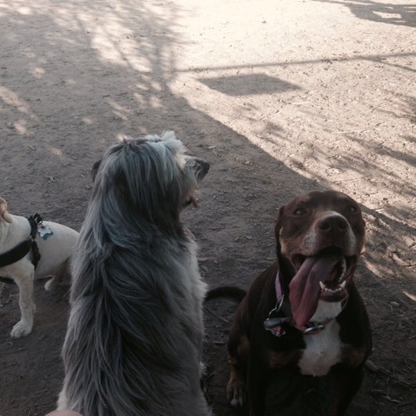 Triangle Dog Park (Now Closed) Dog Park in Philadelphia