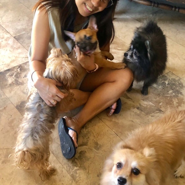 assumpta dog and cat clinic