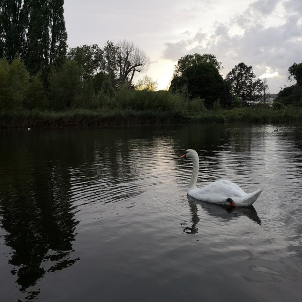 Brockwell Park Duck Ponds Herne Hill 방문자 178명의 팁 1개