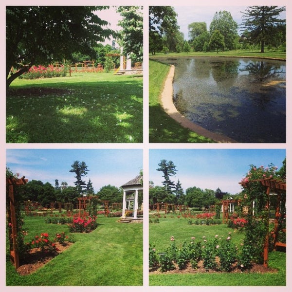 Photos at Rose Garden Park in Westside