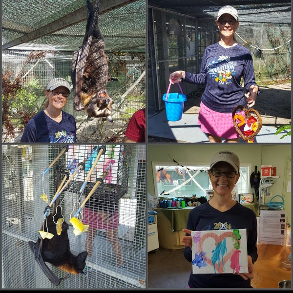 Lubee Bat Conservancy Gainesville, FL