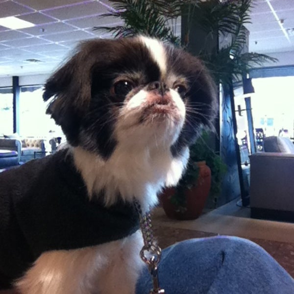 Macy's Furniture Gallery Furniture and Home Store in Redmond