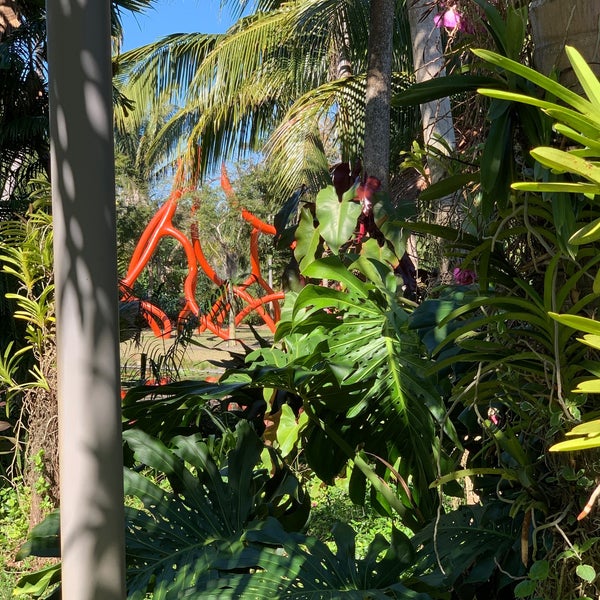 รูปภาพถ่ายที่ Naples Botanical Garden โดย William B. เมื่อ 2/25/2021