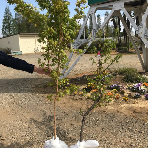 Jaさいたま 大宮緑花木センター 11 Visitors