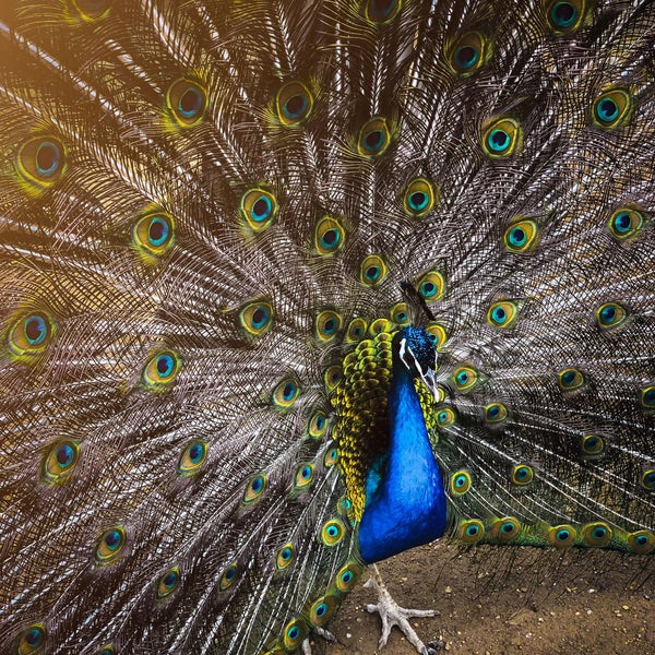 Foto diambil di Rizom Tatil Köyü oleh مُحمد pada 6/20/2019