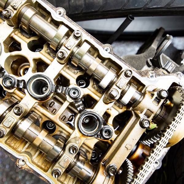 Chihuahua Tire Shop Elgin Northwest Elgin 75 tips