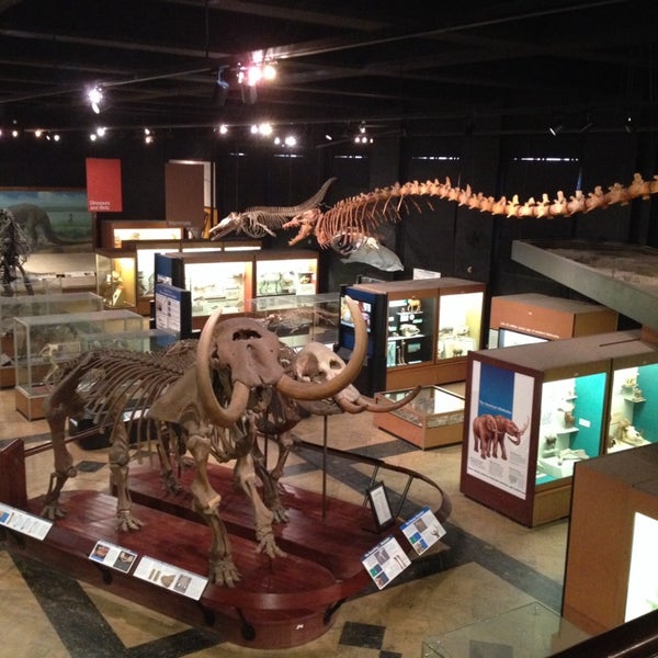 Снимок сделан в University of Michigan Museum of Natural History пользователем Diana R. 2/25/2014