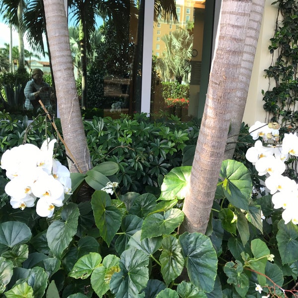 Foto tirada no(a) Hilton West Palm Beach por Patsy M. em 4/5/2018