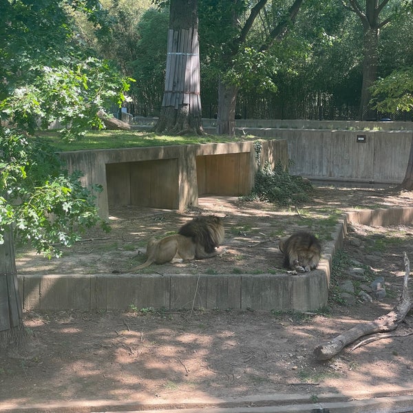 Foto tirada no(a) Smithsonian’s National Zoo por Susie S. em 5/25/2023