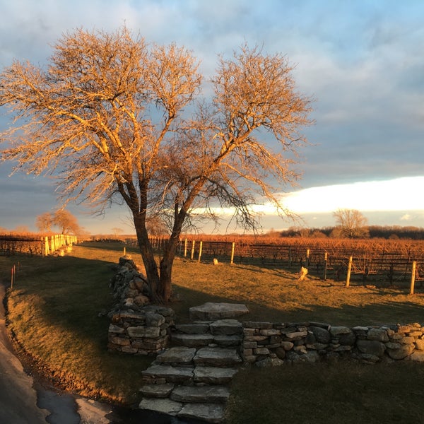 Photo taken at Jonathan Edwards Winery by Andrea H. on 1/28/2017
