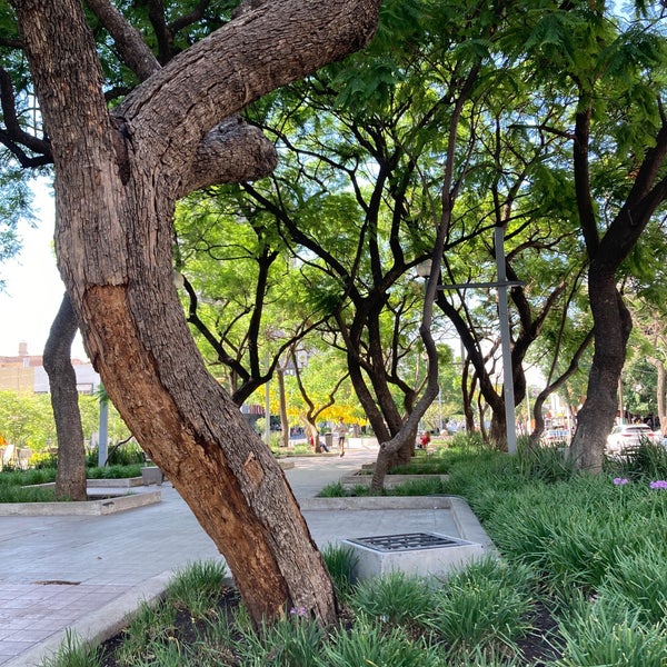 Photo taken at Paseo Chapultepec by José J. on 6/5/2021
