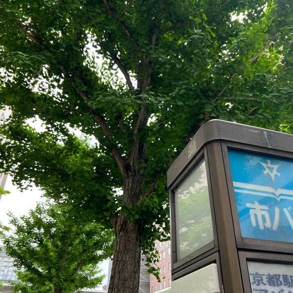 京都駅八条口アバンティ前 バス停 市バスのりばH7 京都市、京都府