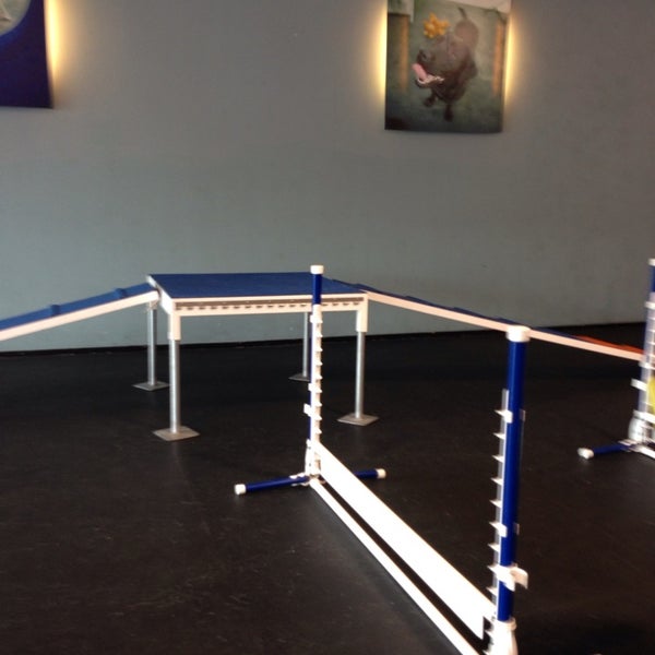 Zoom Room Dog Training Artik Kapali 726 N La Brea Ave Da