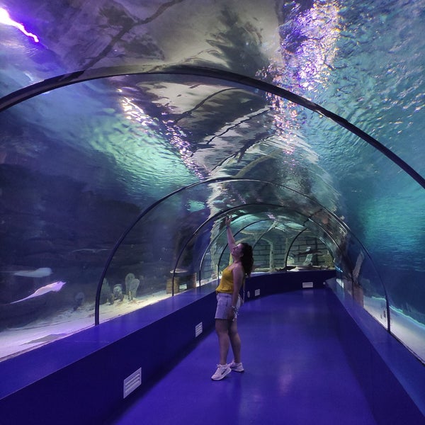 รูปภาพถ่ายที่ Antalya Aquarium โดย Gül เมื่อ 8/15/2023
