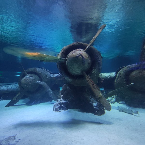 Foto diambil di Antalya Aquarium oleh Gül pada 8/15/2023