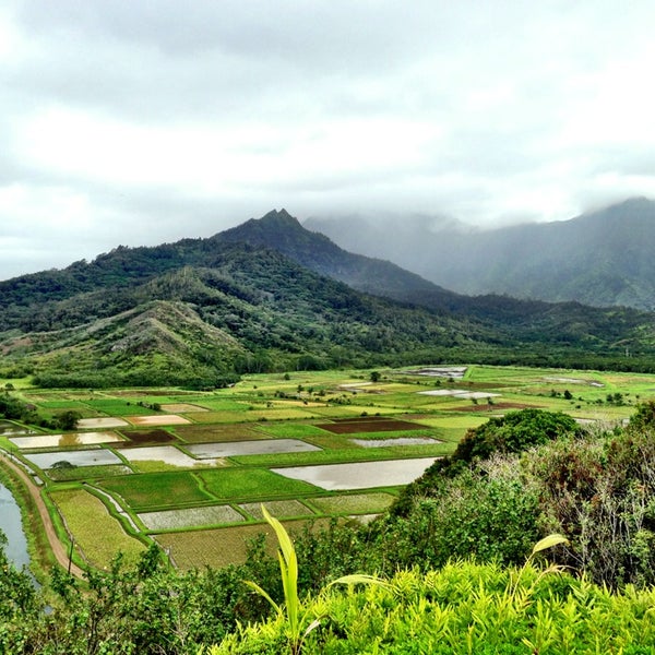 Hanalei Valley Lookout Scenic Lookout in Hanalei