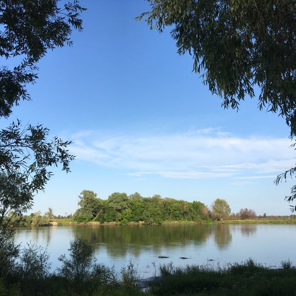 Десна 4. Десна 4. Река десна трубчевск. Десна (приток днепра). Река десна жуковка.