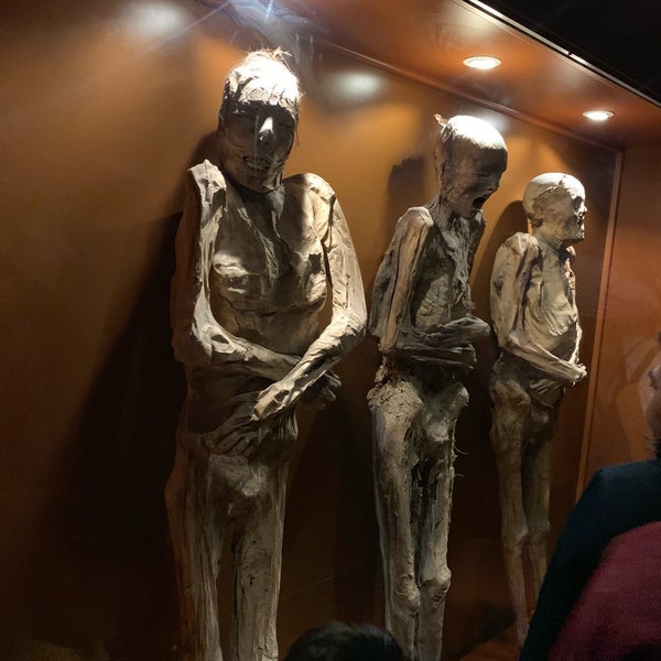 Un lugar de México que sin lugar a dudas debes conocer, la historia de las momias y saber en muchos casos cómo murieron es interesante. Hay que llegar temprano si vas en domingo ya qué hay fila.