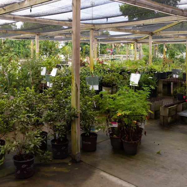 Standard Feed & Seed Pet Supplies Store in Jacksonville