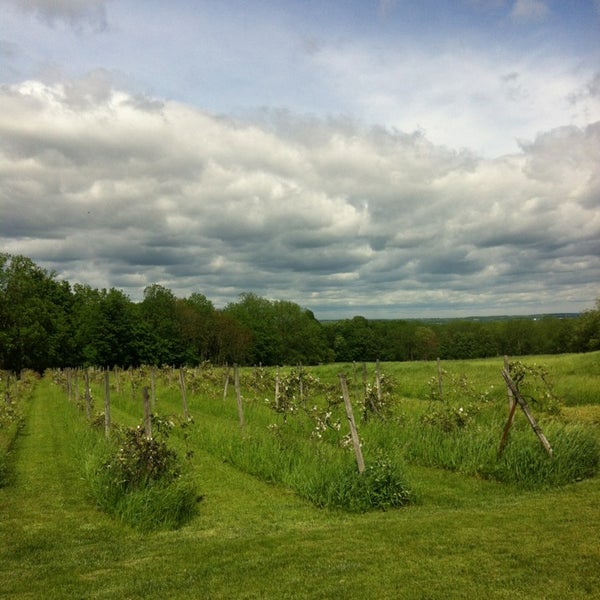 Foto diambil di Americana Vineyards &amp; Winery oleh Rachel B. pada 5/25/2013