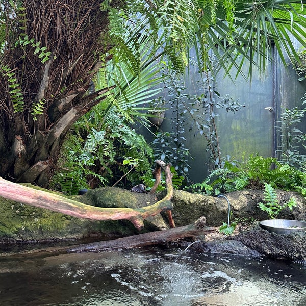 Foto tomada en The Florida Aquarium  por Lucie K. el 3/15/2024