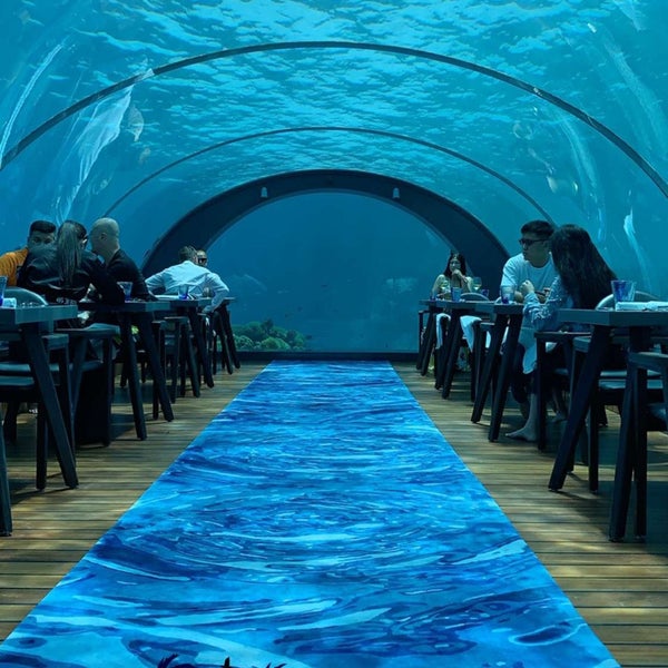 Ресторан 5 8 Undersea Restaurant