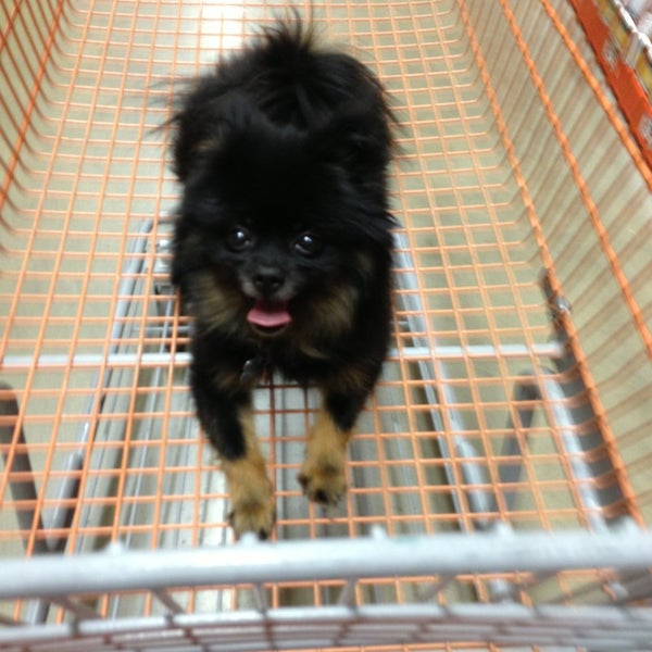 The Home Depot Ferretería