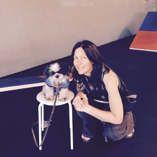 Zoom Room Dog Training Artik Kapali 726 N La Brea Ave Da