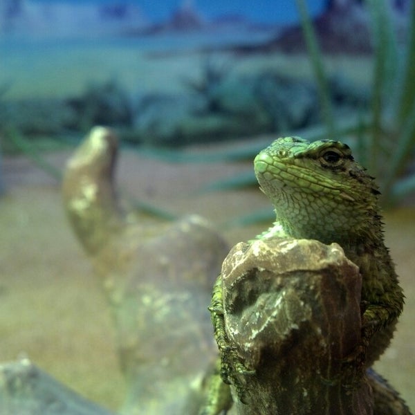 Photos at Pet World Warehouse Pet Store in West Allis