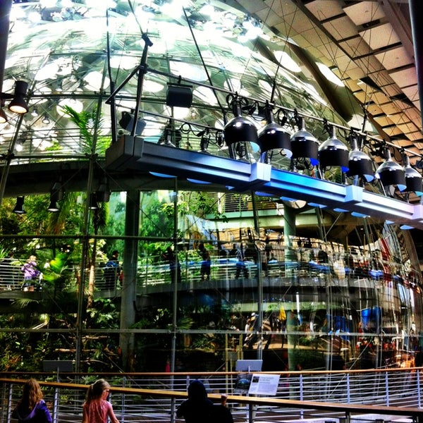 California Academy of Sciences - Science Museum in San Francisco