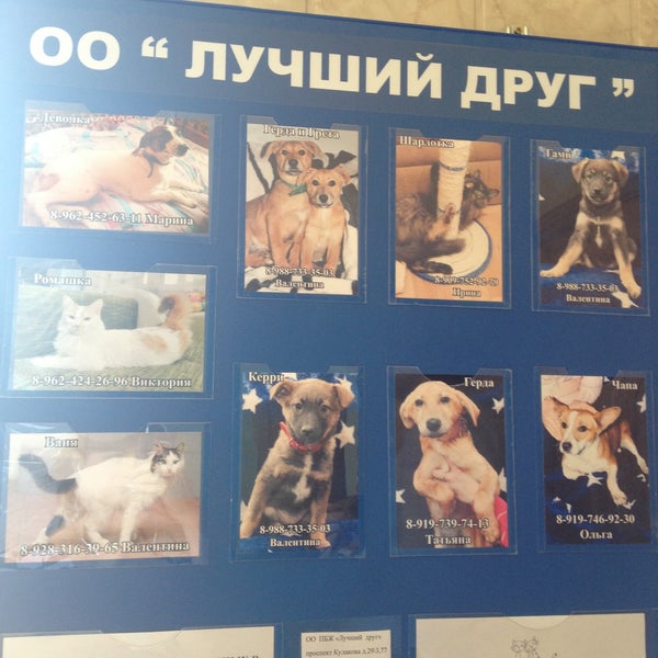 Фото: Ветеринарная клиника, ветеринарная клиника, ул. Ефремова, 12, Шадринск - Я