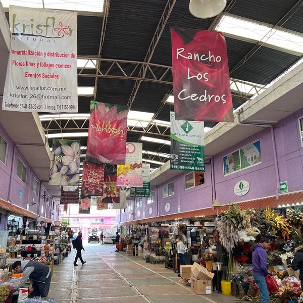 Plaza Jamaica 7 tips