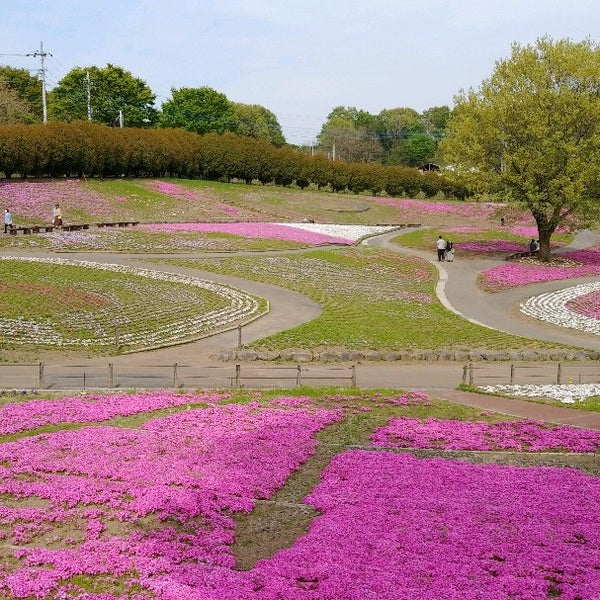 みさと芝桜公園 箕郷町松之沢12 1 みさと芝桜公園 箕郷町松之沢12 1