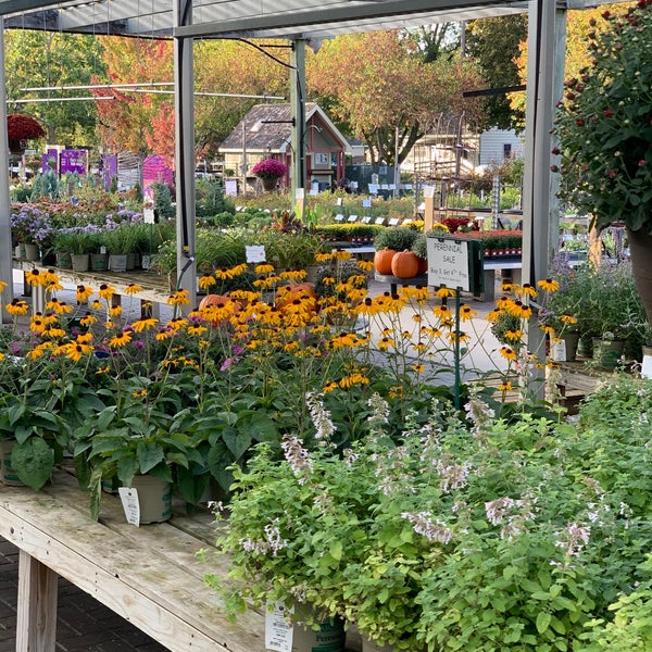 Sargents On Second Flower Store in Rochester