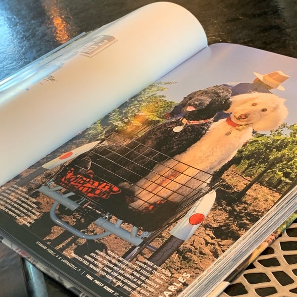 If you’re sitting at the bar, ask for the ‘Wine Dogs: California’ book to peruse. 🍷 🐕 📖
