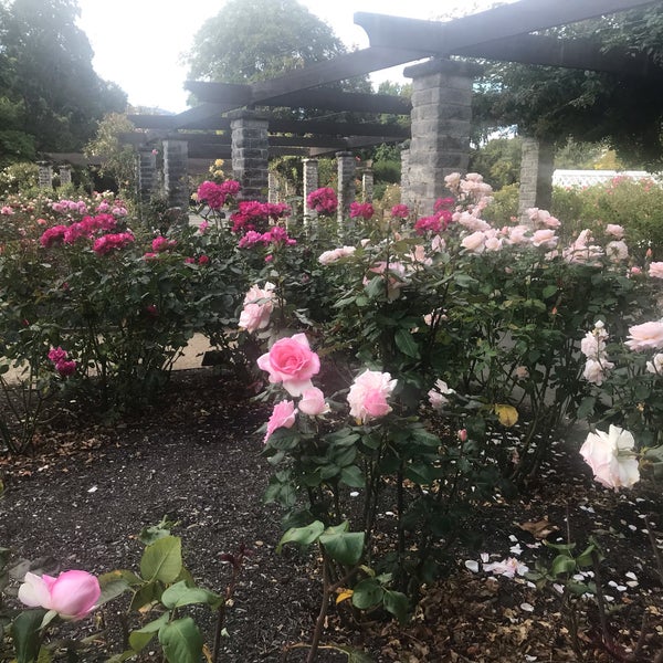 Foto diambil di Dunedin Botanic Garden oleh Ren E. pada 3/4/2019