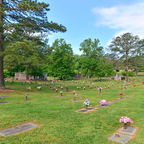 Dale Memorial Park 63 visitors