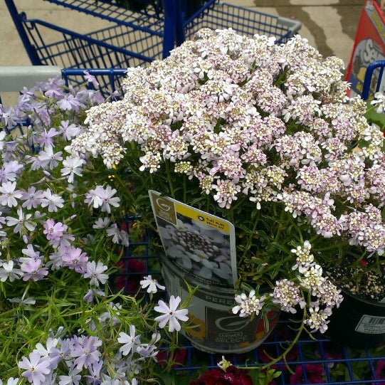 lowe's home improvement greensburg pa