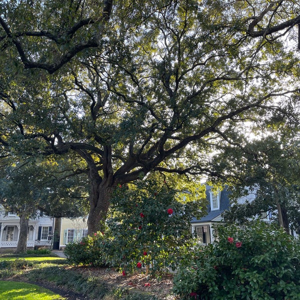 Washington Square Historic DistrictNorth 6 tips