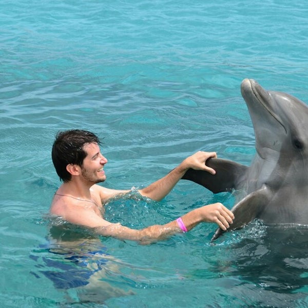 6/1/2013 tarihinde Ronny S.ziyaretçi tarafından Dolphin Academy'de çekilen fotoğraf