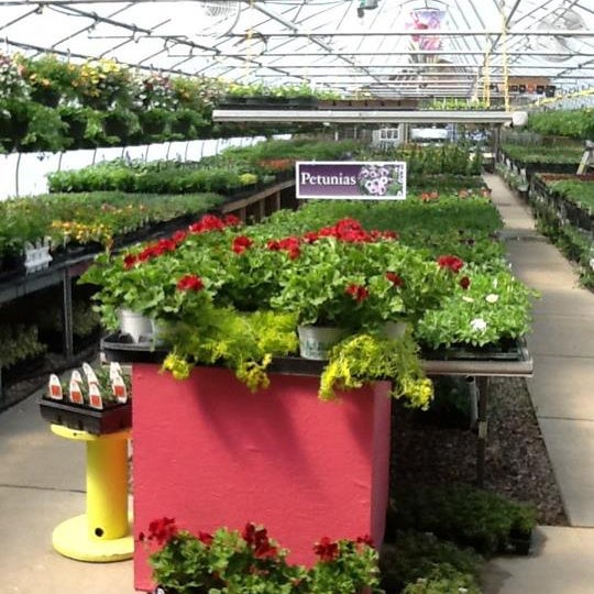 Flowerbuds Greenhouse Flower Store in Lyndon Station