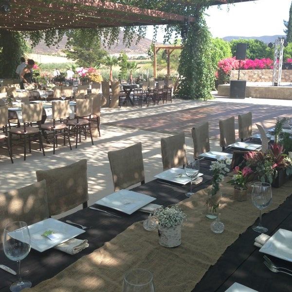 Parque La Joya Vineyard