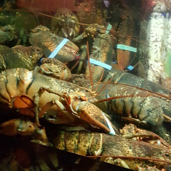 8/12/2015にDana T.がThe Happy Crabで撮った写真