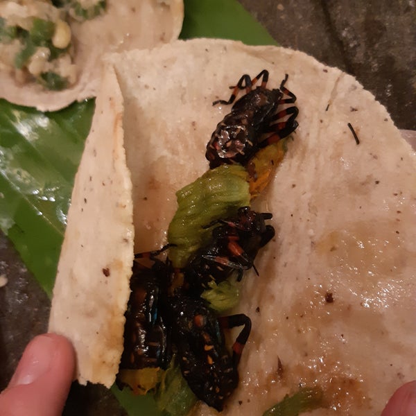 Tacos prehispánicos, gordita de chapulines,  sopa prehispánica