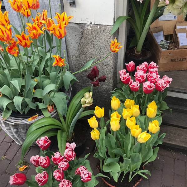 Photo taken at Amsterdam Tulip Museum by Ashleigh T. on 8/13/2019