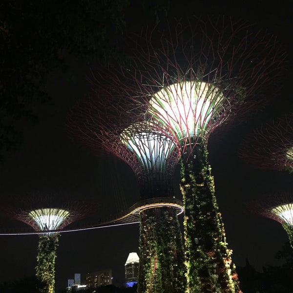 Photo taken at Gardens by the Bay by Isabel P. on 7/11/2017