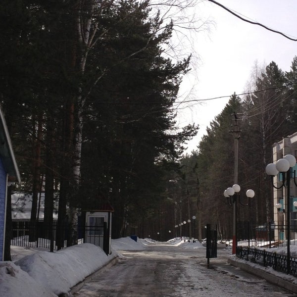 Сосновый Бор Пермь Фото