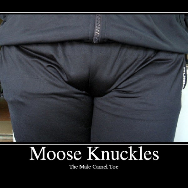 Moose Knuckle's & Camel Toe's - Tampa Heights - 3 tips ...