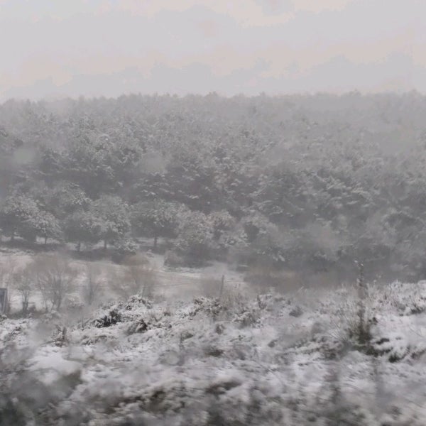 34 Orman Park Maltepe 7 Tavsiye