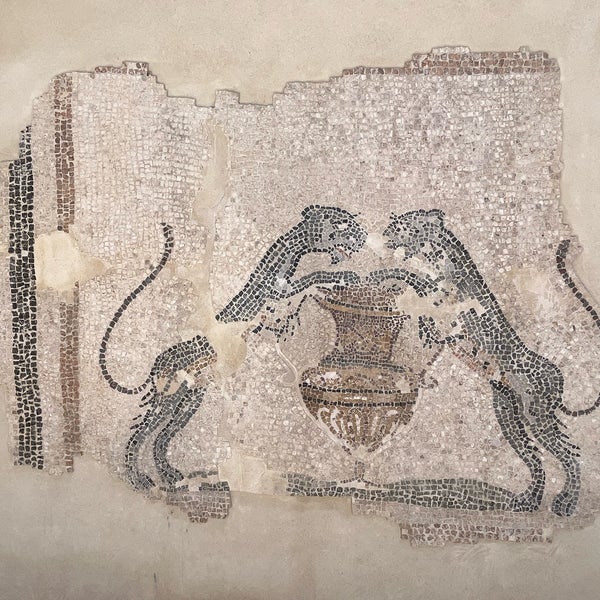 Das Foto wurde bei Bodrum Kalesi - Sualtı Arkeoloji Müzesi von Pericles P. am 2/28/2024 aufgenommen